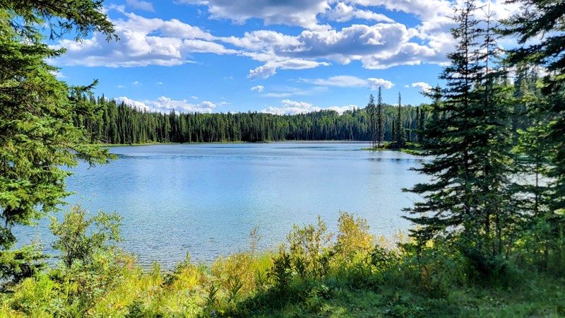 Alberta: Emerson Creek Road Hero Photo