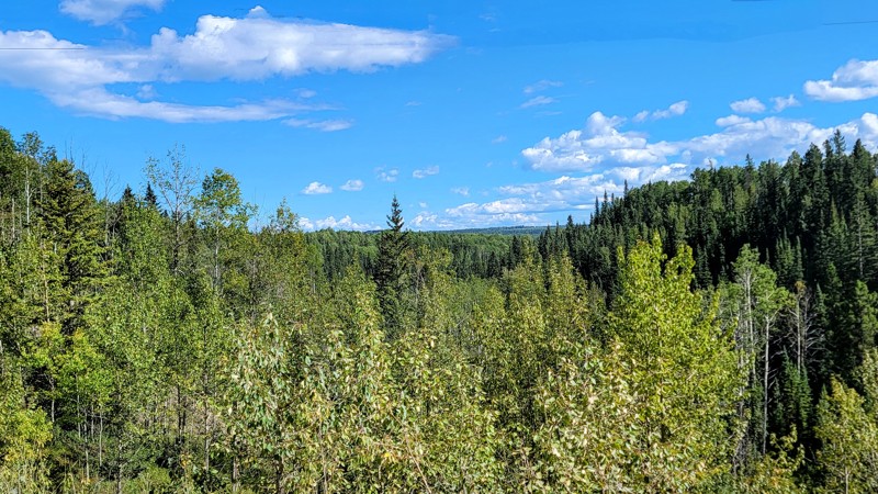 Emerson Creek Road Trail Review Photo