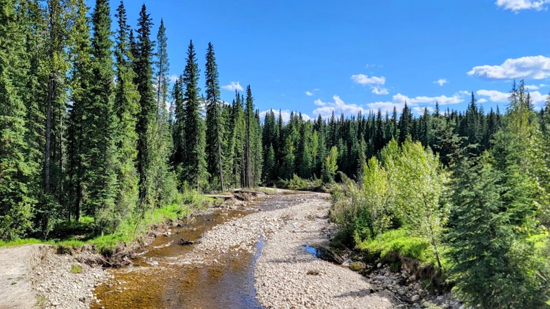 Emerson Creek Road Trail Review Photo