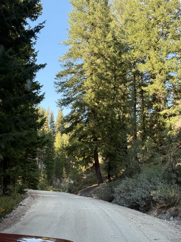 Rocky Bar Road Trail Review Photo