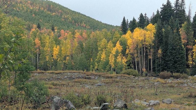 Park Creek 262 Trail Review Photo