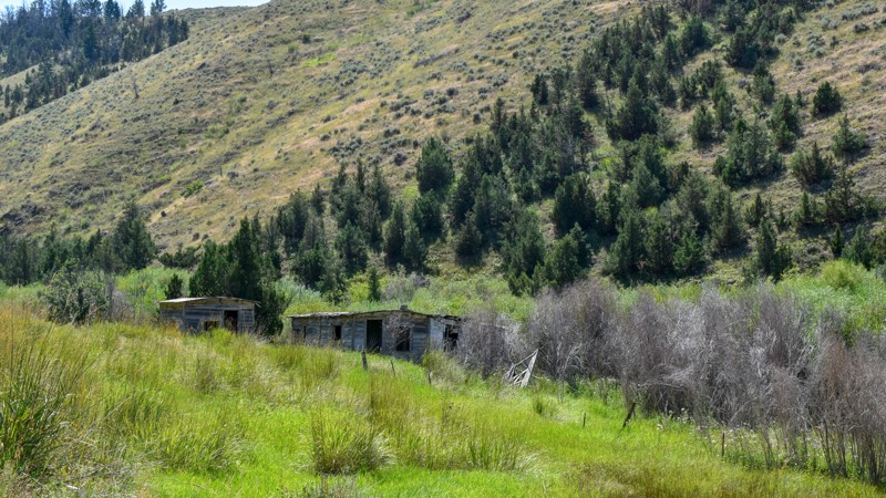 Stone Creek Road Trail Review Photo