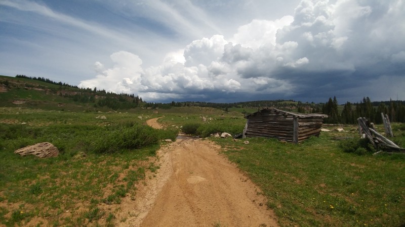 Colorado: Grizzly Jeep Road Hero Photo