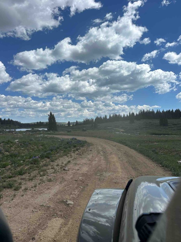 Grizzly Jeep Road Trail Review Photo
