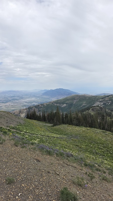 Inspiration Point Trail Review Photo