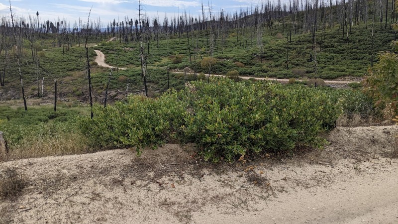 Idaho: Castle Creek Hero Photo