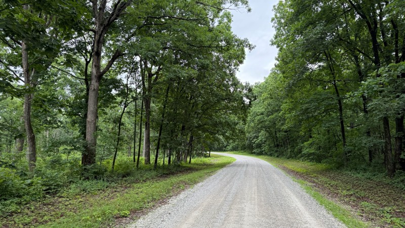 Tower Road Trail Review Photo
