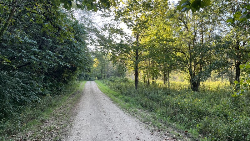 Massas Creek Road Trail Review Photo