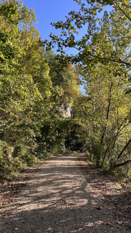 Massas Creek Road Trail Review Photo