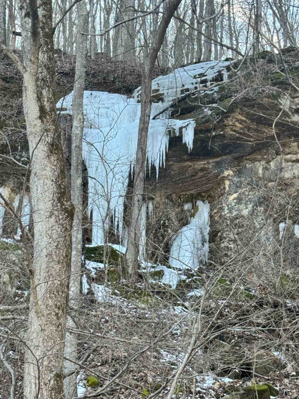 Lost Creek Road Trail Review Photo