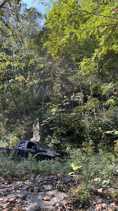 Charette Creek Road Trail Review Photo