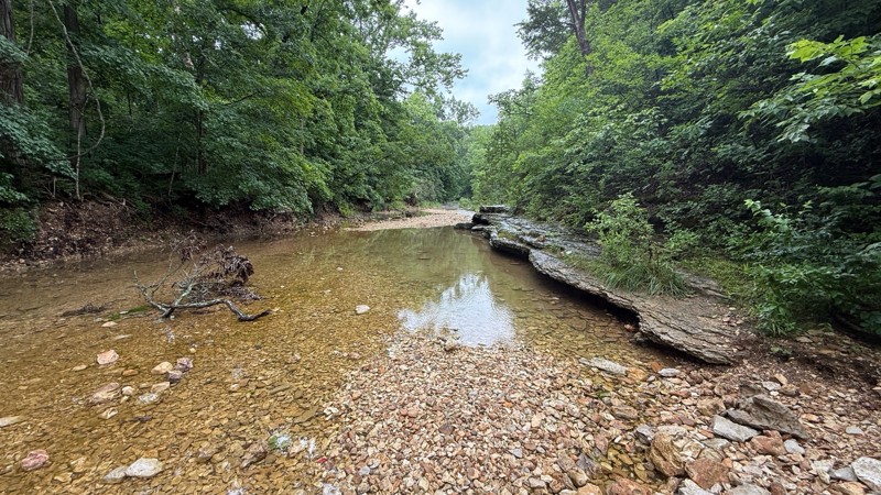 Reifsnider Park Road Trail Review Photo