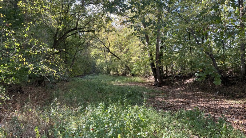 Callaway Fork Road Trail Review Photo