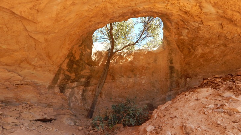 Utah: Dry Fork Canyon Hero Photo