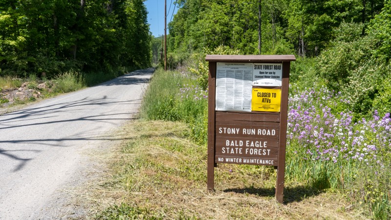 Stony Run Road Trail Review Photo