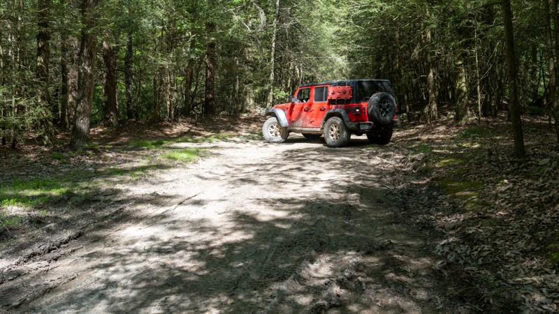 Old Tar Road Trail Review Photo