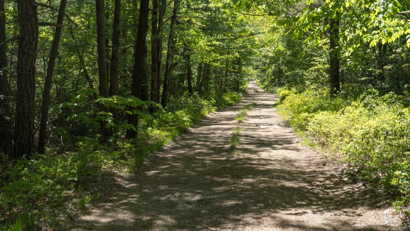 Old Tar Road Trail Review Photo