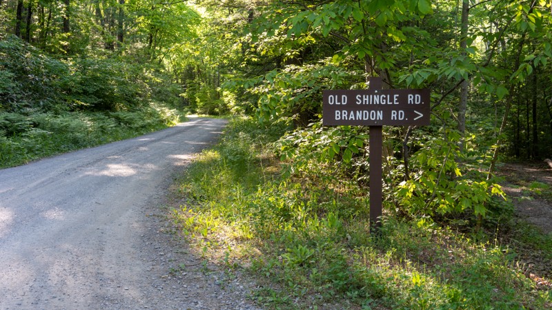 Brandon Road Trail Review Photo