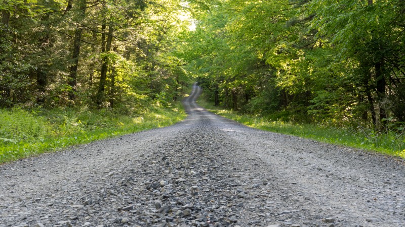 Pennsylvania: Old Shingle Road Hero Photo