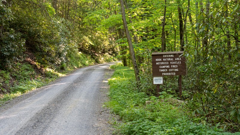 Old Shingle Road Trail Review Photo