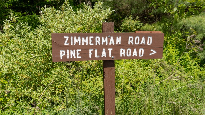 Pine Flat Road Trail Review Photo