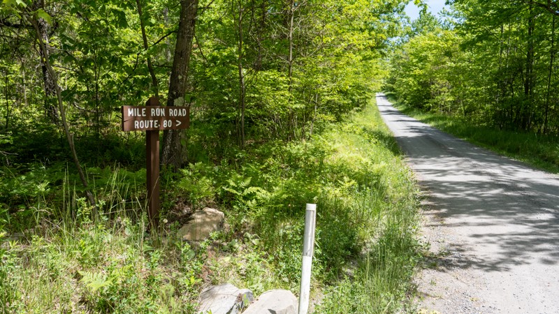 Mile Run Road Trail Review Photo