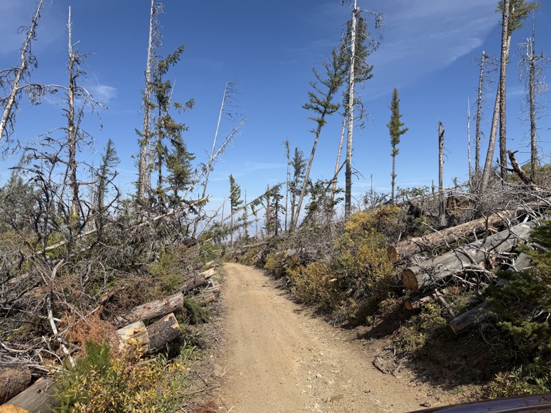 Liberty-Beehive Trail Review Photo