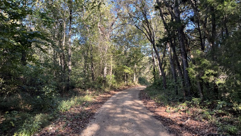 CR 19-250 Trail Review Photo