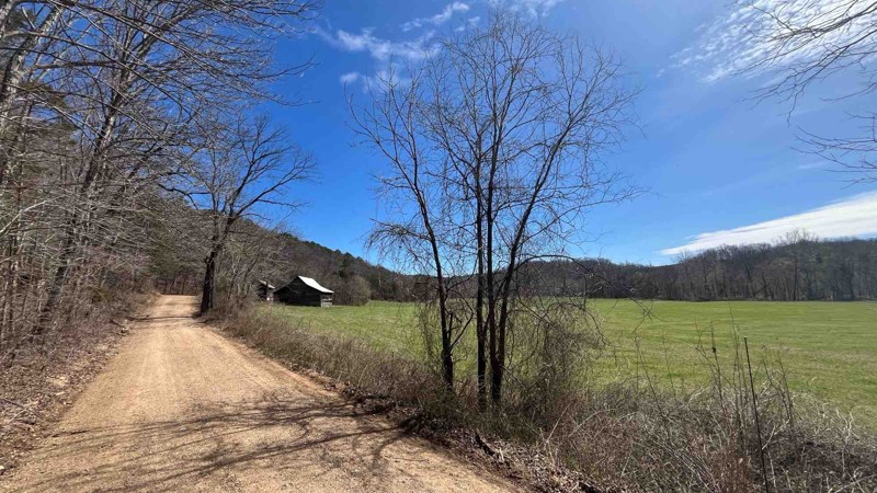 CR 19-250 Trail Review Photo