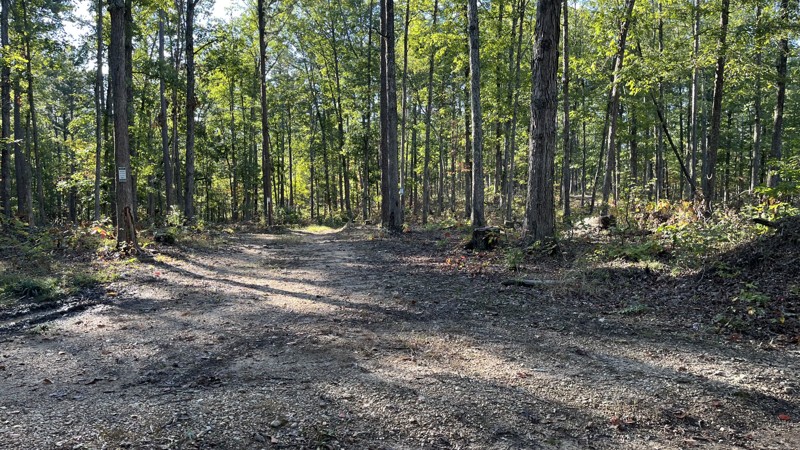 Road 2220 Trail Review Photo