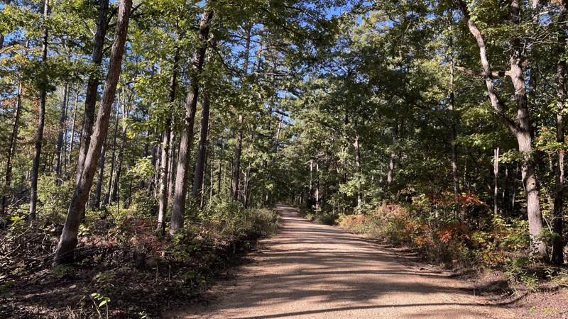 Road 2220 Trail Review Photo