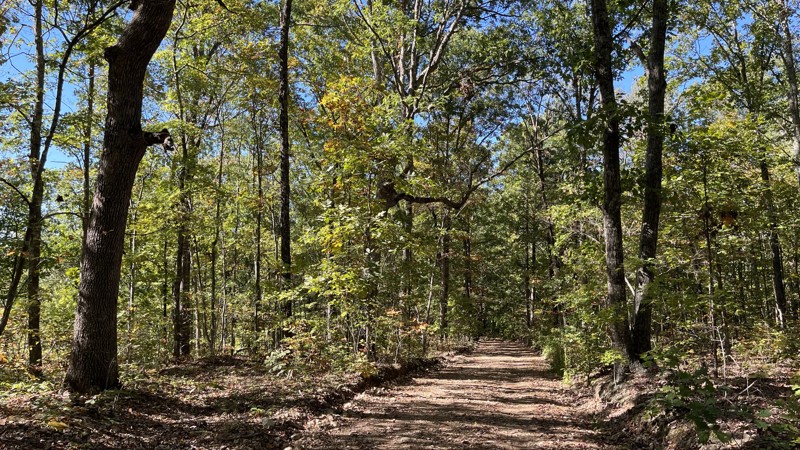 CR 235-C Trail Review Photo
