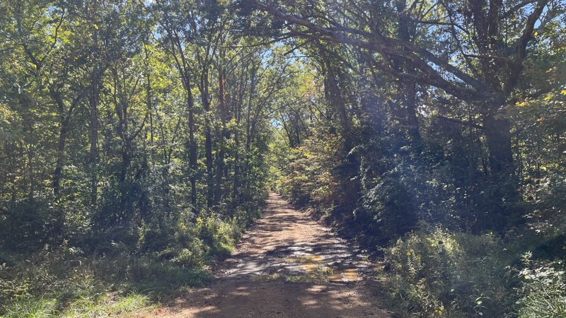 CR 283 Trail Review Photo