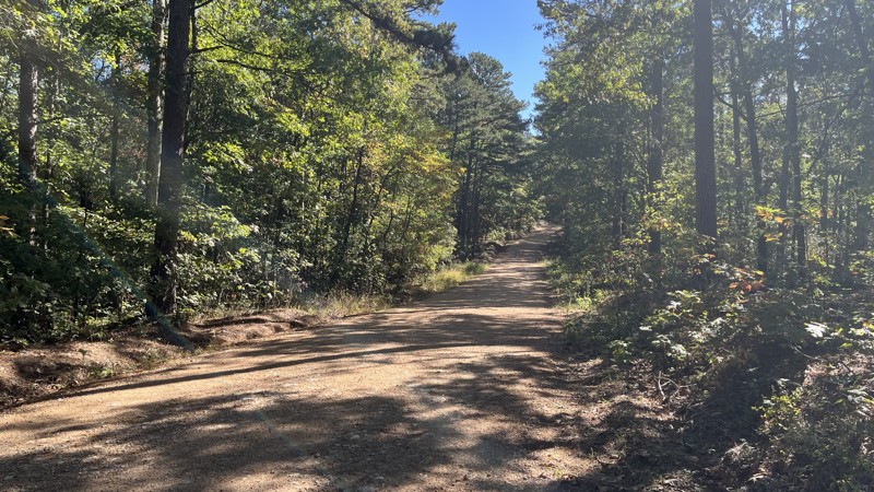 CR 903 Trail Review Photo