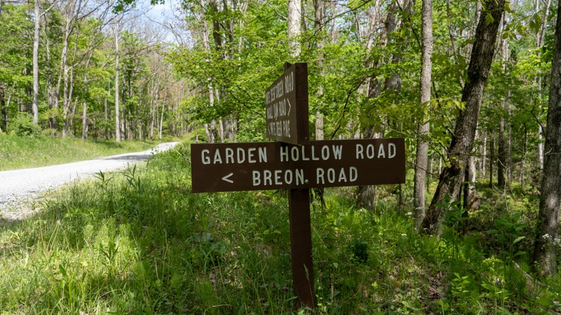 Garden Hollow Road Trail Review Photo