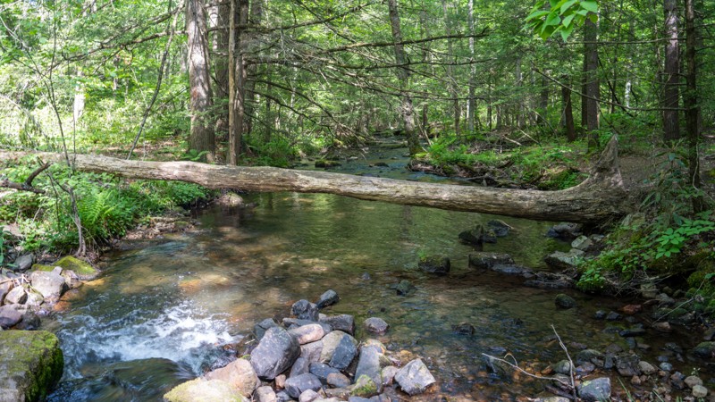 Pennsylvania: Spruce Run Road Hero Photo