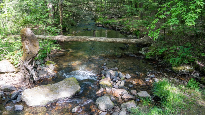 Spruce Run Road Trail Review Photo
