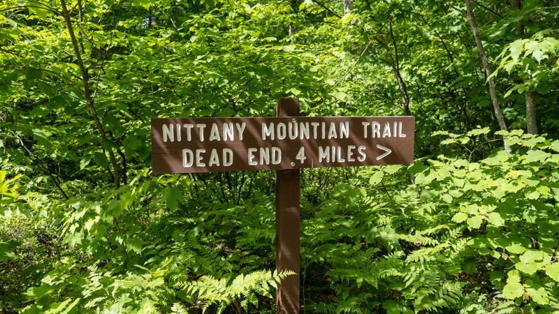 Nittany Mountain Road Trail Review Photo