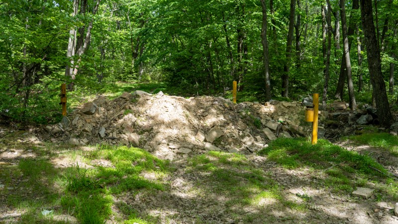 Nittany Mountain Road Trail Review Photo