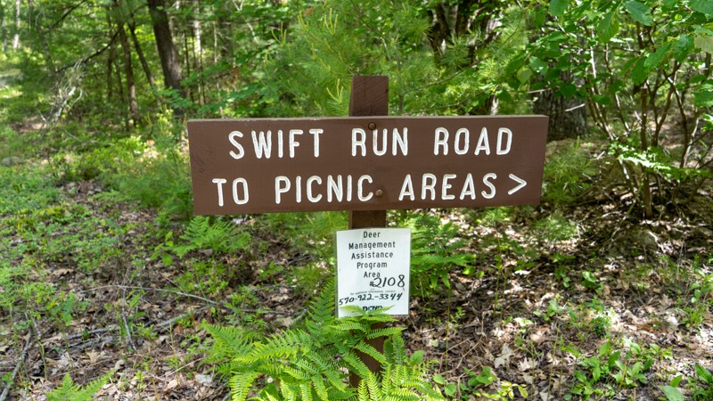 Swift Run Road Trail Review Photo