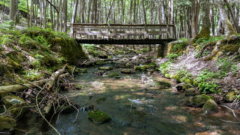 Swift Run Road Trail Review Photo