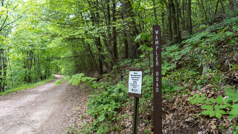 Wampler Road Trail Review Photo