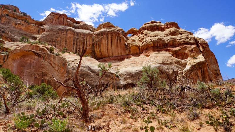 Utah: West Fork Lavender Canyon Hero Photo