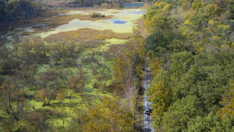 Maryland: Hunting Quarter Road Hero Photo