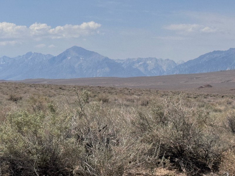 Chidago Canyon Road Trail Review Photo