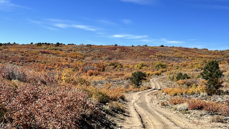Colorado: Brushy Ridge Hero Photo