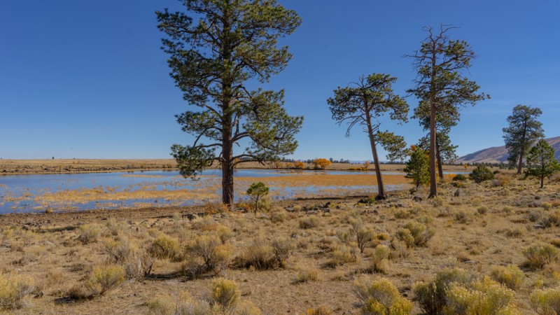New Mexico: Laguna Larga Hero Photo