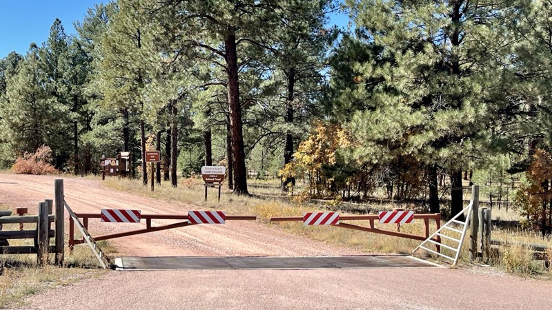 NF 157 Trail Review Photo