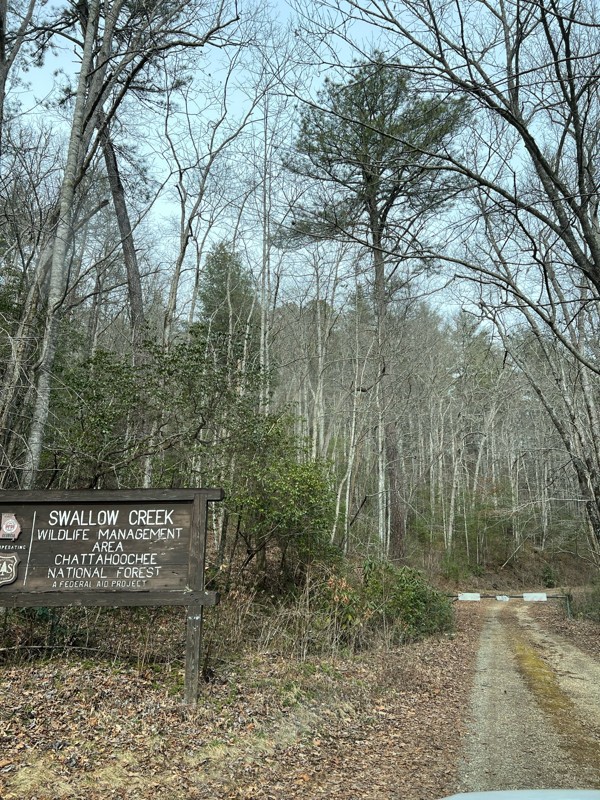 Mill Creek Trail Review Photo