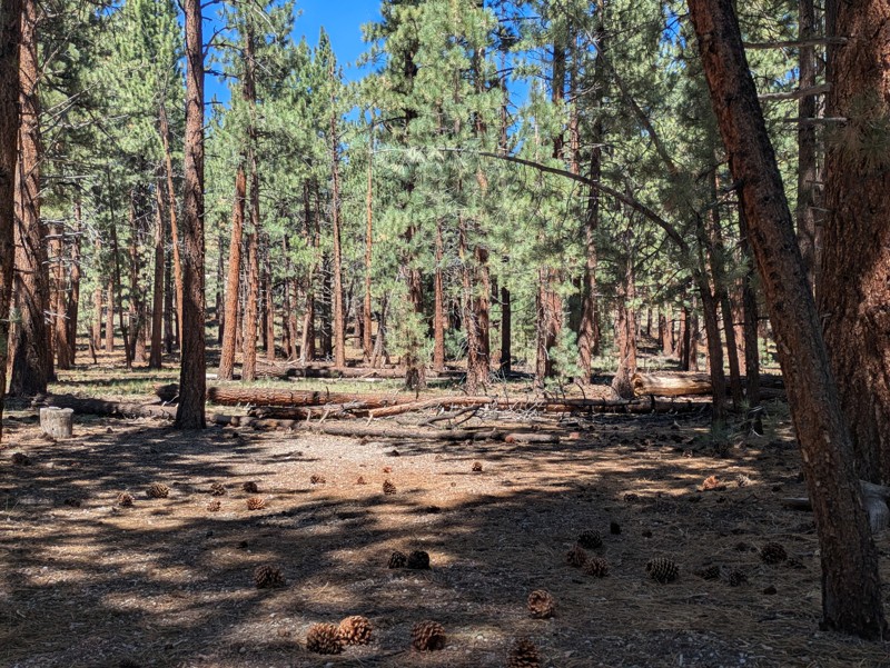 Owens River Road Trail Review Photo